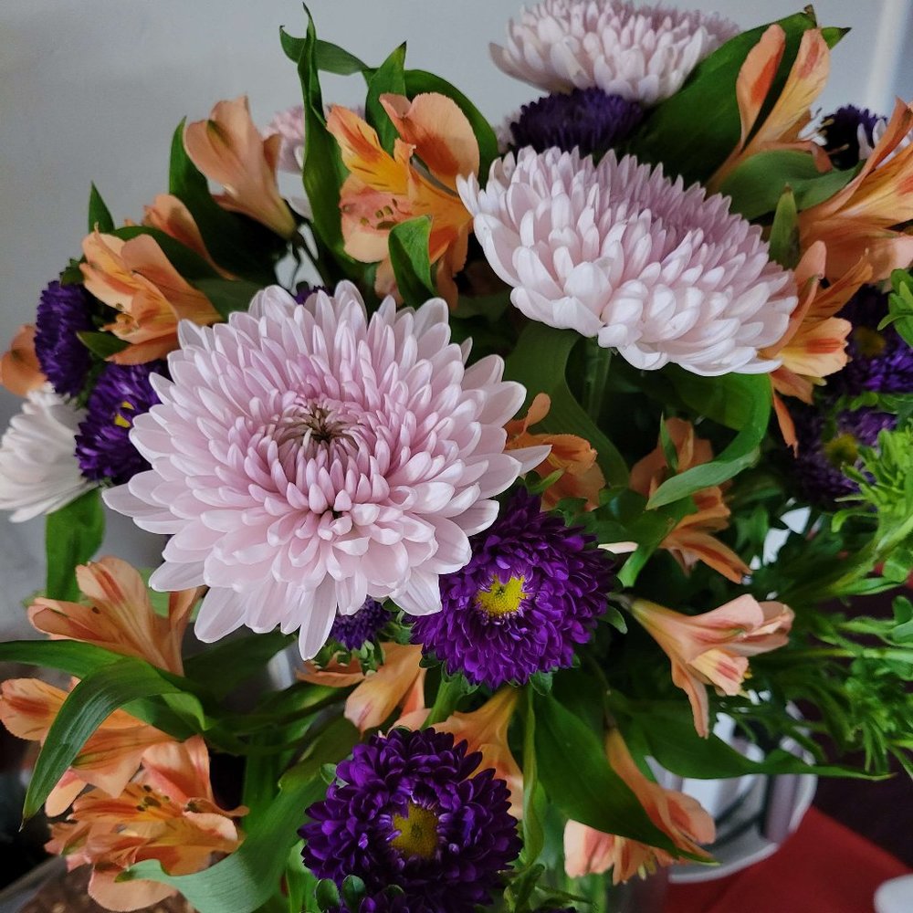 Meet your Posher, Em